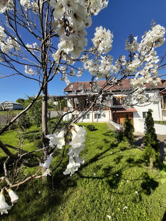 Vila Tara Hategului Hotel Eksteriør billede